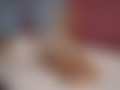 Fetisch: Nylons, Netzstr�mpfe +