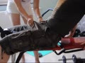 Heißes Training Teil 1