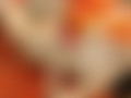 neue bilder galerie