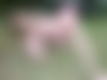 Private Sommer Bilder