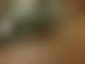 Muschibilder1